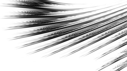 Obraz premium Abstract fractal pattern. Background for design.