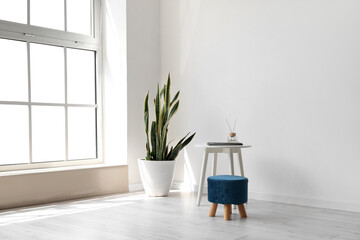 Interior of light room with table, pouf and houseplant