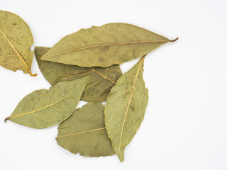 Obraz premium dry bay leaves on white background