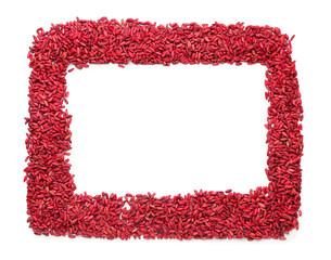 Frame made of dried barberry on white background