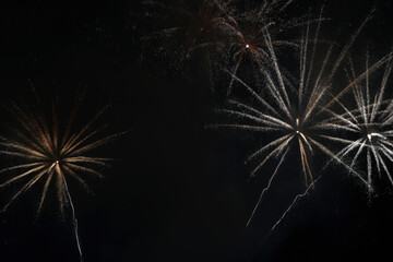 Obraz premium Stunning colorful fireworks and black night sky photographed in Dubai, UAE during Dubai shopping festival. Lovely photo for any celebration with fireworks like new year’s eve. 