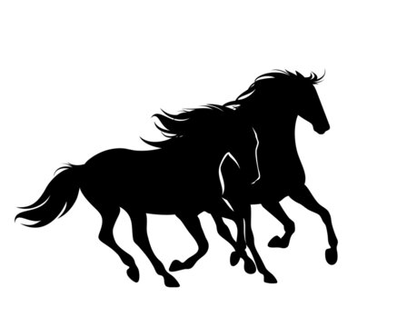 pair of wild mustang horses with long manes and tails - two animals running free black vector silhouette design
