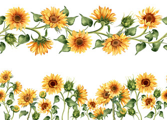 Sunflower repeating border. Floral illustration for paper, stationery,  fabric, greeting cards, packaging ets. Repeat ornament. Summer or autumn design. Watercolor flowers isolated on white background
