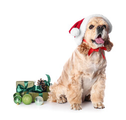 Adorable dog in Santa hat and with Christmas gifts on white background