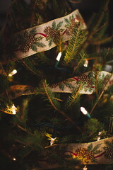 Christmas lights and decorations hanging from the branches of an evergreen tree indoors. Celebrating the holiday season in Canada.