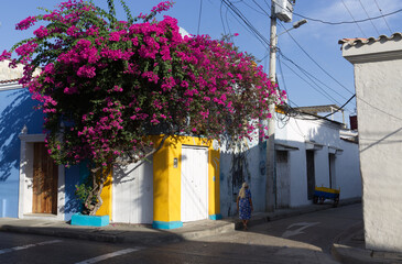 Fototapeta na wymiar Colorful alley in Cartagena, Colombia