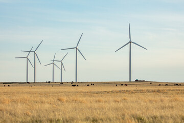 Windfarm on vast plain with brown grass in Northern Colorado.