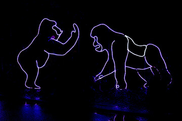 Colored holiday lights depicting a large gorilla giving the finger to another gorilla at a zoo