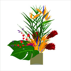 flower bouquets, blooming plants in clay or plastic flowerpots, wicker basket flower bouquets,Vector set of flowers and plants in pots 