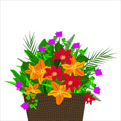 flower bouquets, blooming plants in clay or plastic flowerpots, wicker basket flower bouquets,Vector set of flowers and plants in pots 