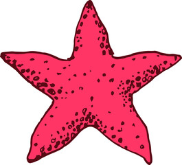 Simple vector illustration of starfish in pink color, isolated on white background. Logo and icon design.