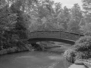 bridge over the river