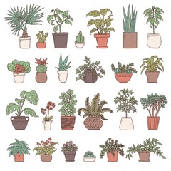 Set house green plants. Indoor and outdoor landscape garden potted plants isolated on white. Vector houseplant in flower pot outline doodle illustration.