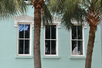 Green house with windows framed by palm trees in Charleston