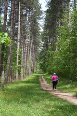 Obraz premium hiking in the woods