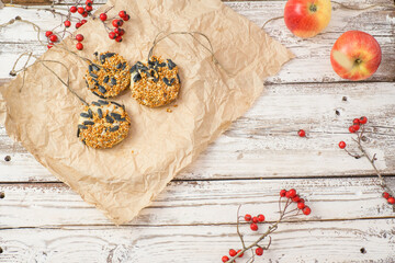 Treats for wild birds. Homemade donuts from apple seeds and lard on a white wooden background. View from above. Copy space