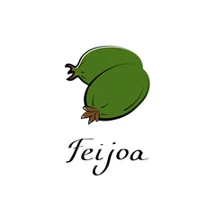 Foto op Canvas Feijoa vector cartoon flat illustration. Brazilian guava steen sign. Fruit berry and vegetable logo © Lidia_sv