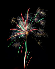 Colorful fireworks explosion looking like neon light flower in black sky