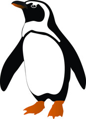 Penguin color vector illustration isolated