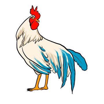 Rooster cock stands watching cartoon illustration