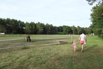 A family (mother and daughter) spending time together in the field visiting two horses