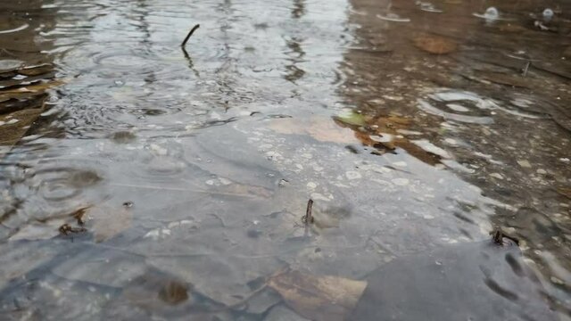 Rain drops falling on a water puddle during a rainy winter day,weather conditions