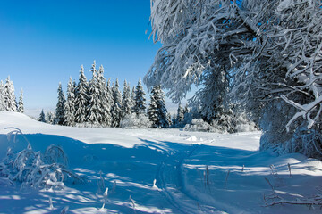 Winter landscape of Vitosha Mountain, Bulgaria