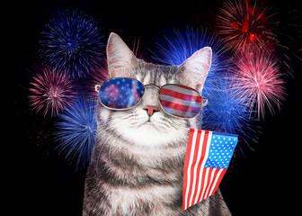 4th of July - Independence Day of USA. Cute cat with sunglasses and American flag on dark...
