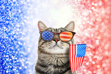 4th of July - Independence Day of USA. Cute cat with sunglasses and American flag on shiny festive background - obrazy, fototapety, plakaty