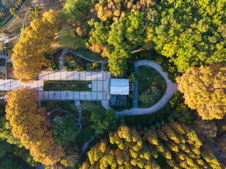 Wuhan Liberation Park late autumn scenery in Hubei, China