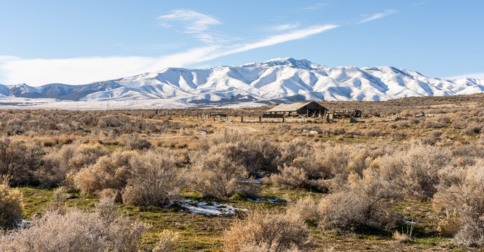 A prairie landscape with a distant snow covered mountain range