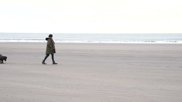 Walking on a beach in the winter with a dog. Filmed in North America.
