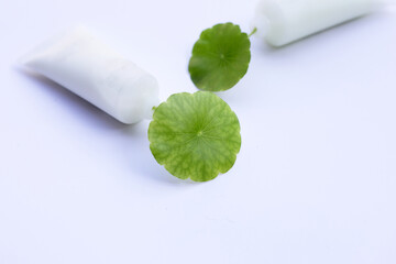 Fresh green centella asiatica leaves in cosmetic bottle on white background.
