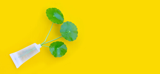 Fresh green centella asiatica leaves in cosmetic bottle on yellow background.