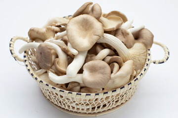 Fresh oyster mushroom in bamboo basket on white background.