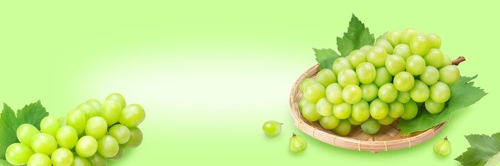 Shine Muscat Grape with leaf in wooden basket isolated on green colour background, Green grape fruit banner.