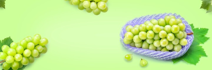 Shine Muscat Grape with leaf isolated on green colour background, Green grape fruit banner.