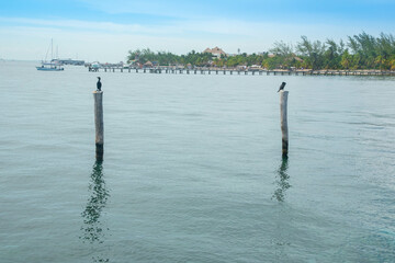 Muelle en isla mujeres Mexico