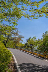 If you go hiking in Korea, you can meet such beautiful scenery.