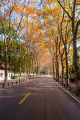 Hubei Wuhan East Lake Scenic Area Late Autumn Scenery