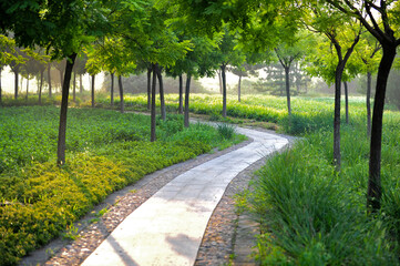 Green pedestrian roads, rivers and plank roads in urban parks