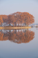 Obraz premium Hubei Wuhan East Lake Scenic Area Late Autumn Scenery