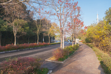 Hubei Wuhan East Lake Scenic Area Late Autumn Scenery