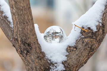Glass balls in the snow