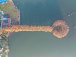 Hubei Wuhan East Lake Scenic Area Late Autumn Scenery