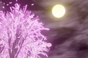 満月の夜に咲く美しい桜