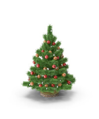 christmas tree isolated on white