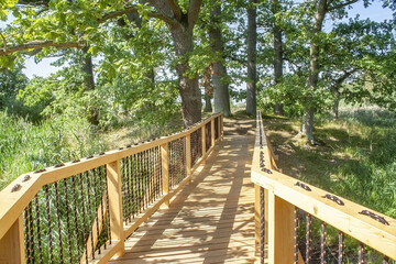 Beautiful wooden boardwalk through the dense vegetation on a sunny day