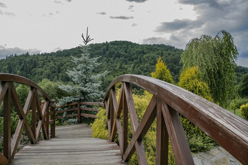 Mesmerizing view of a wooden pathway leading to the beautiful dense forest under a cloudy sky