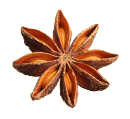 Dry anise star with seeds isolated on white